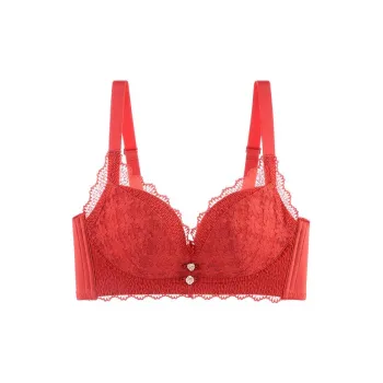 Lanza Women's Bras