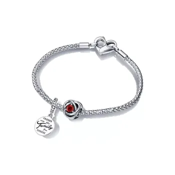Pandora Bracelets Women's Multicolor