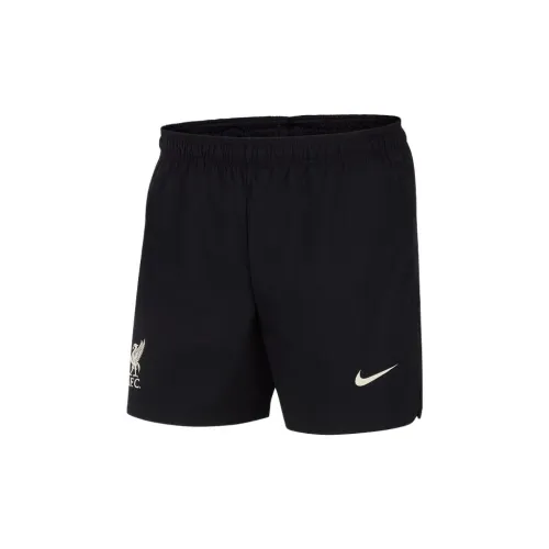 Nike Sports Shorts Men Black/Fossil Gray