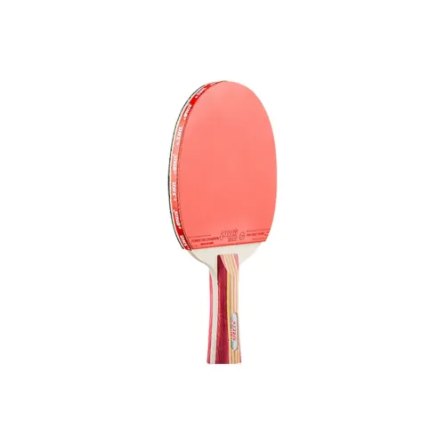 DHS Ping Pong Paddles