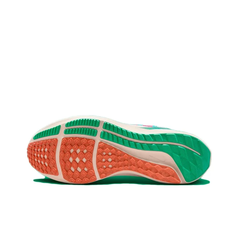 Nike Air Zoom Pegasus 40 Familia-5