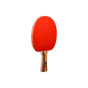 DHS Ping Pong Paddles Unisex All Wood