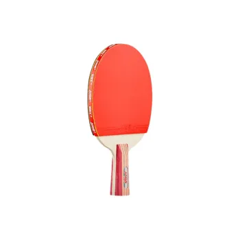 DHS Ping Pong Paddles