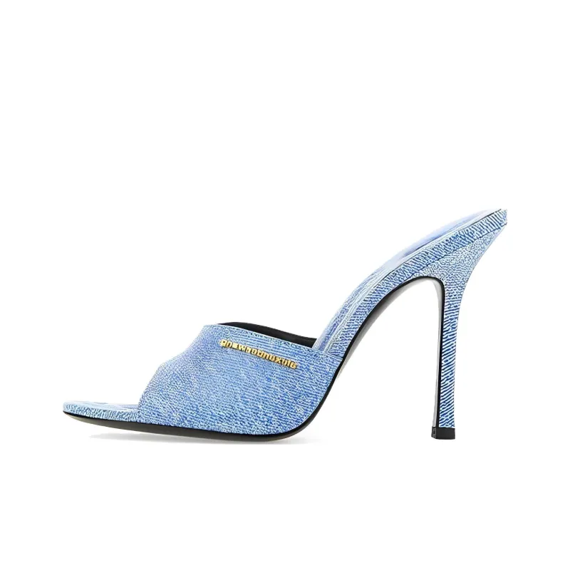 Alexander Wang Slide Slippers Women's Blue-0