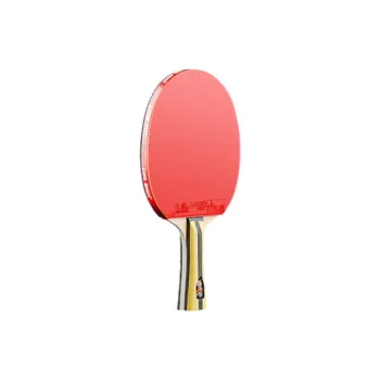 DHS Ping Pong Paddles
