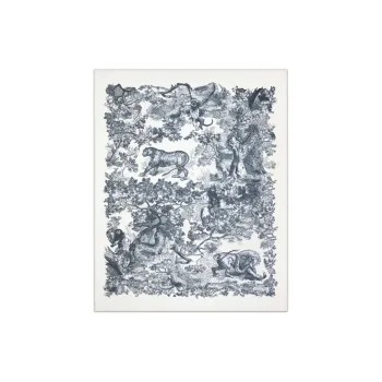 DIOR Shawls Women's