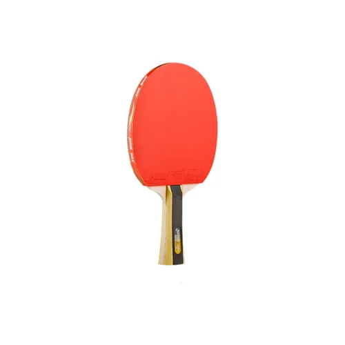 DHS Ping Pong Paddles Unisex All Wood