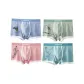 4 Pack (Blue+Pink+Green+Lake Blue)