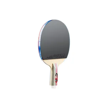 DHS Ping Pong Paddles Kids' All Wood
