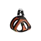 XXS-XS Neck Circumference < 35 Cm | Abdomen 33-36 Cm