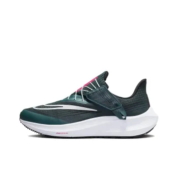 Nike Air Zoom Pegasus 39 FlyEase 'Deep Jungle Metallic Silver' Women's