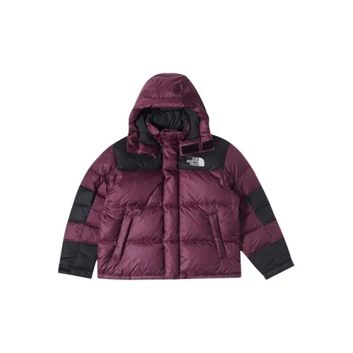 THE NORTH FACE Urban Exploration Down Jackets Men Fuchsia