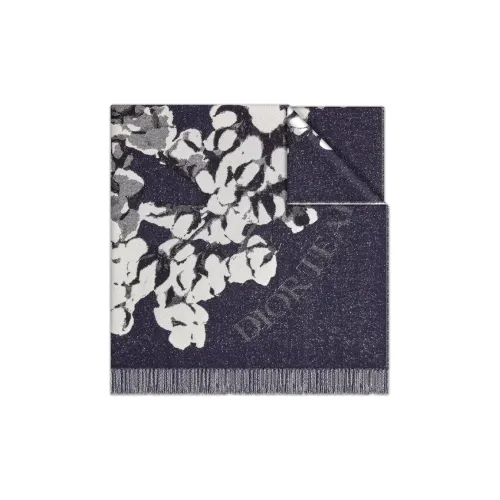 DIOR Shawls Men