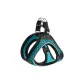 XXS Neck Circumference < 30 Cm | Abdomen 31-33 Cm