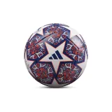 Size 5 Ball, Air Pump and Air Needle