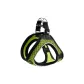 XXS Neck Circumference < 30 Cm | Abdomen 31-33 Cm