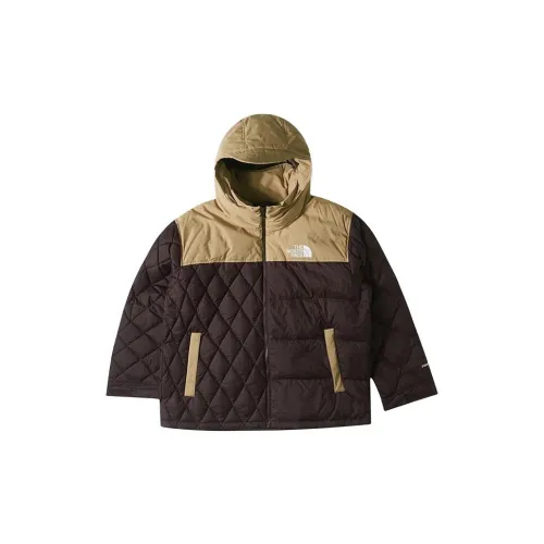 THE NORTH FACE Urban Exploration Down Jackets Men Brown