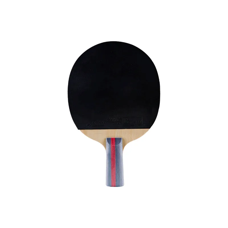 DHS Ping Pong Paddles Unisex All Wood-5