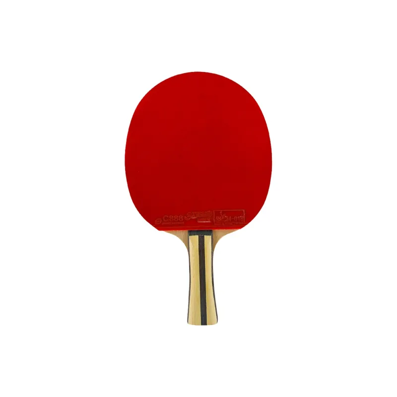 DHS Ping Pong Paddles Unisex All Wood Red Black-1
