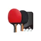 Short Handle