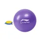 Elegant Purple Pilates Ball[Comes with Pump]