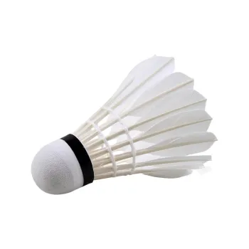 DHS Shuttlecocks