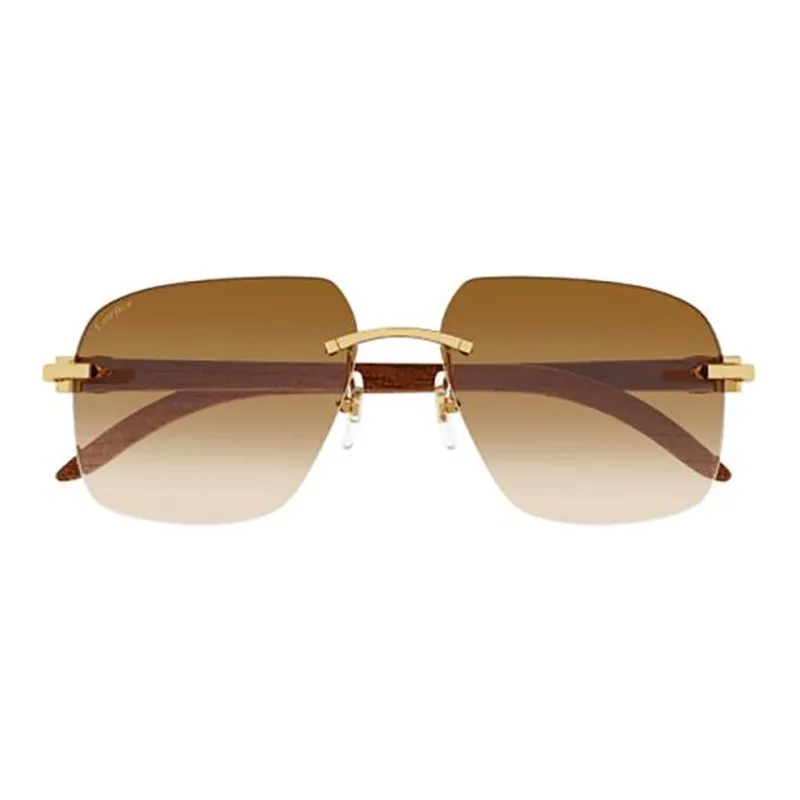 Cartier Aviator Framed Sunglasses-1