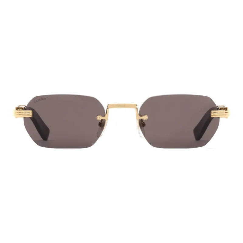 Cartier Rectangle Frame Sunglasses-0