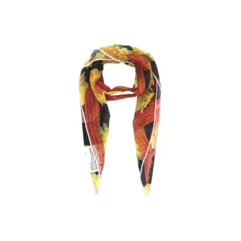 LOEWE Silk Scarves Unisex Multicolor