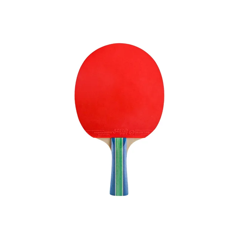 DHS Ping Pong Paddles-1