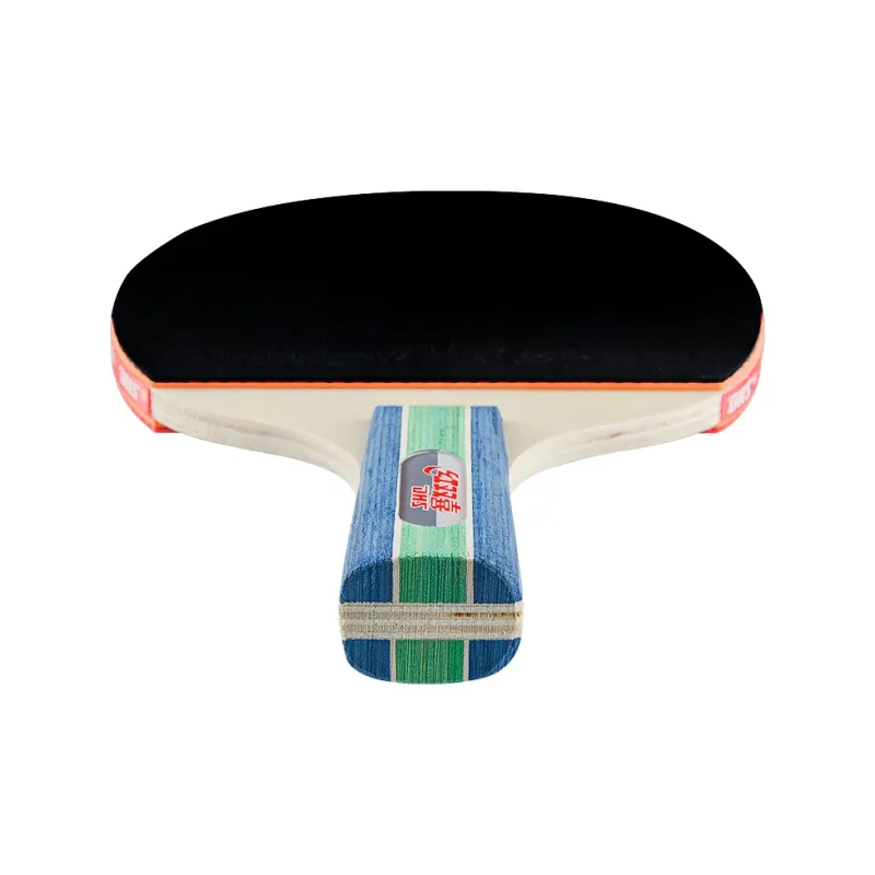 DHS Ping Pong Paddles-10