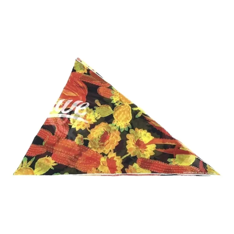 LOEWE Silk Scarves Unisex Multicolor-1