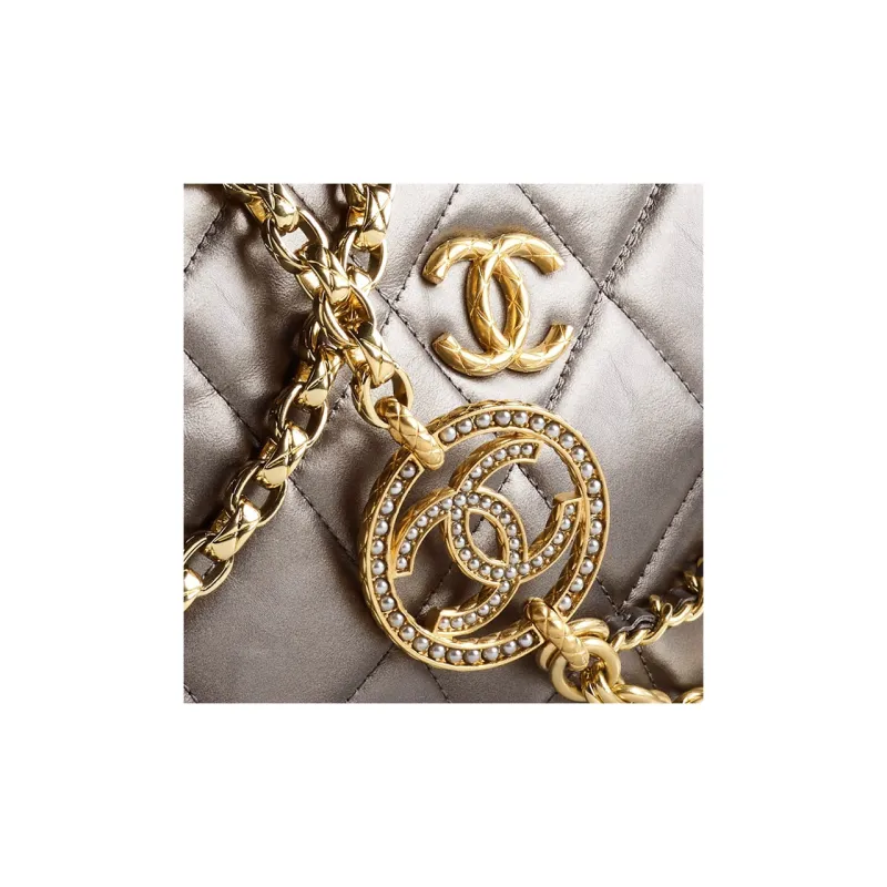 CHANEL Cow Leather And Gold Metal Crossbody Camera Bag, Crossbody Bag Mini Women's Gray-4