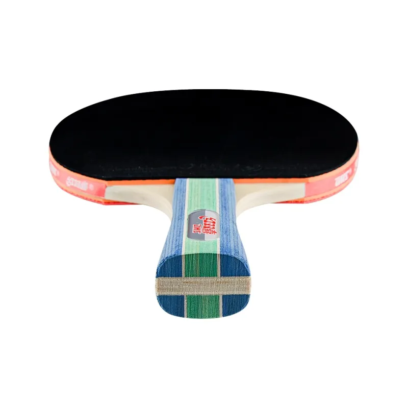DHS Ping Pong Paddles-2