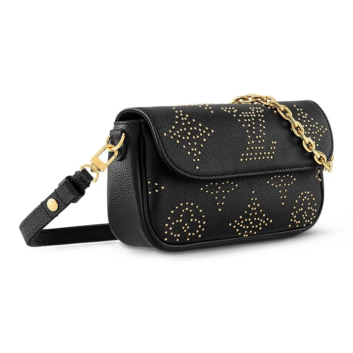 LOUIS VUITTON Wallet On Chain Ivy-1