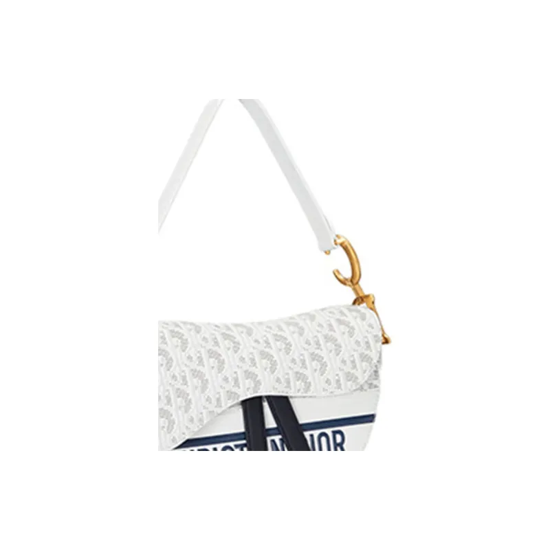 DIOR Saddle Handbags-2