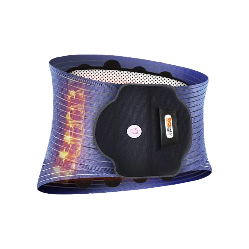 Sheng Kun Back Support Braces Warm Self Heating Electric Heating Blue Purple Unisex-1