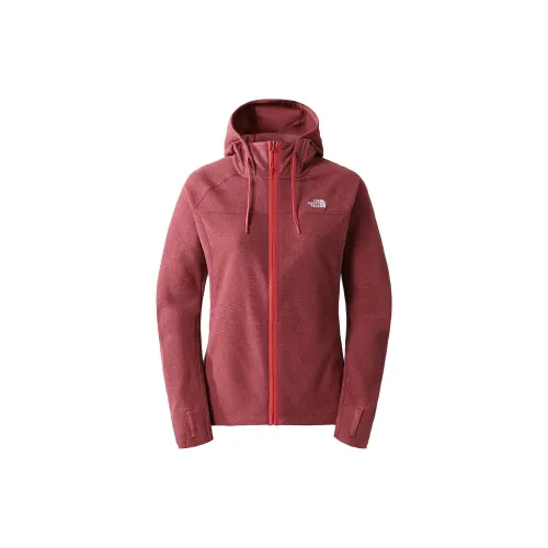 THE NORTH FACE Sweatshirts Women's Dark Red