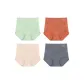 4 Pack (Fruit Green+Skin+Gray Blue+Caramel)