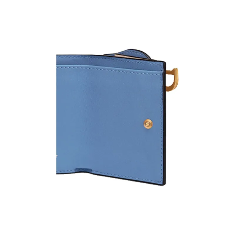 DIOR Saddle Wallets-5