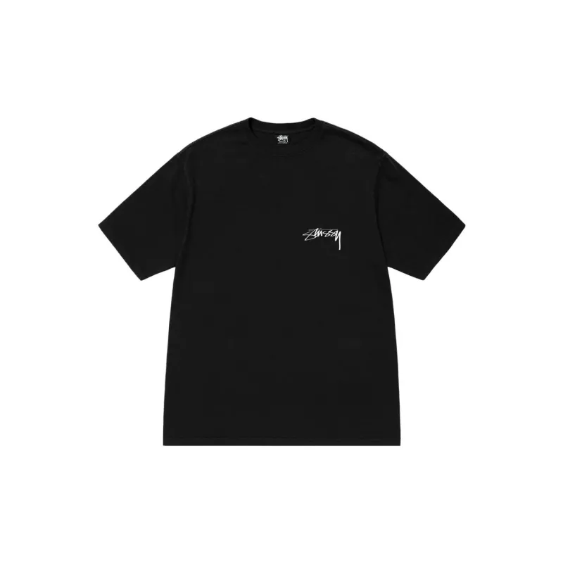 Stussy Arachnid Pigment Dyed Tee-1