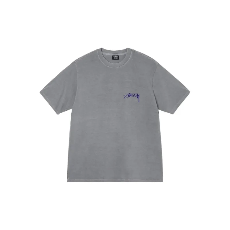 Stussy Arachnid Pigment Dyed Tee-5