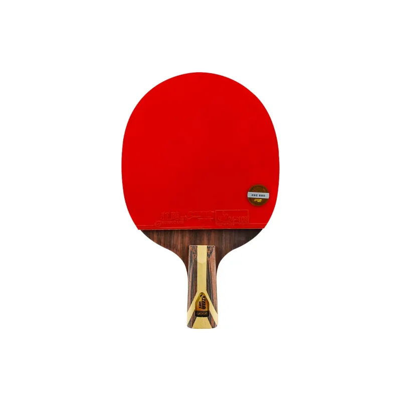 DHS Ping Pong Paddles-8