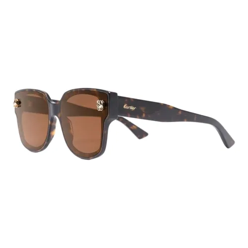CARTIER Acetate Irregular Shape Sunglasses Women's Brown