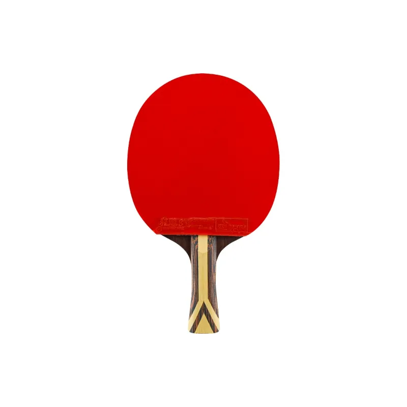DHS Ping Pong Paddles-1