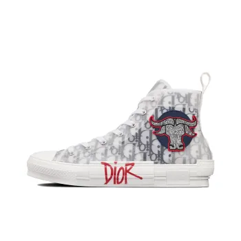 DIOR And Shawn B23 High