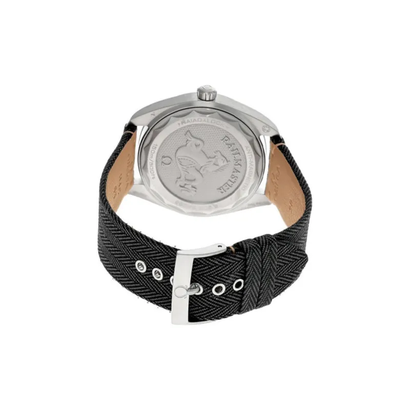 OMEGA Seamaster Railmaster 220.12.40.20.01.001-2