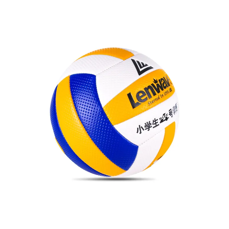 LENWAVE Volleyball-2