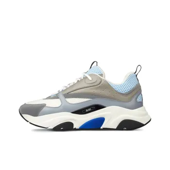 DIOR B22 White Blue