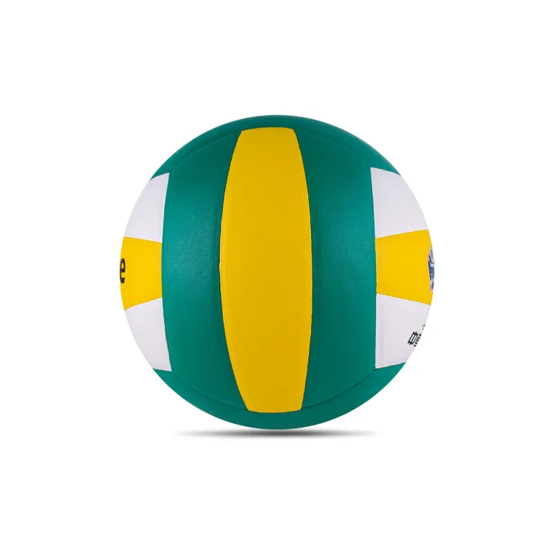LENWAVE Volleyball-1